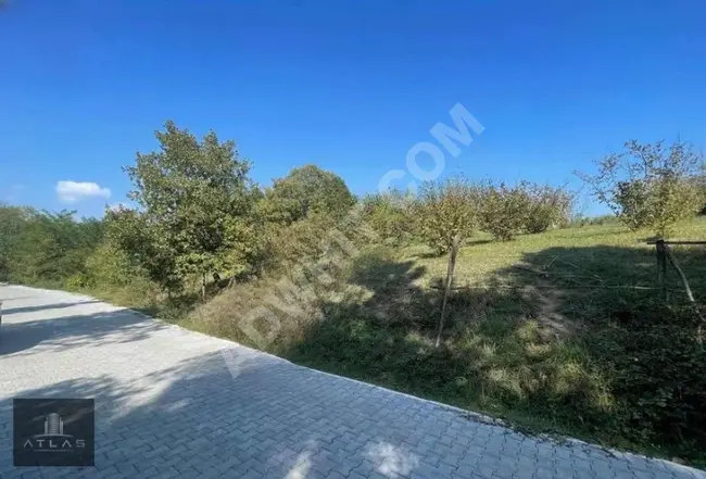 Atlas'tan, Hendek, Esentepe'de, % 40 Villa imarlı Fırsat Arsa