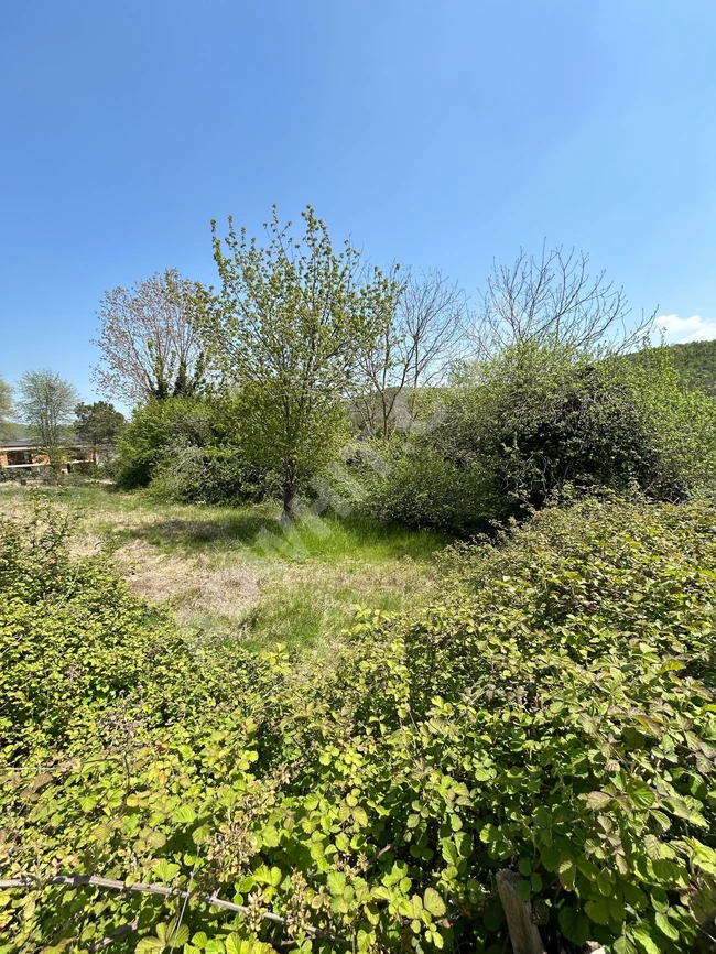 Şile Karakiraz'da satılık tarla, 270m2, uygun fiyat.