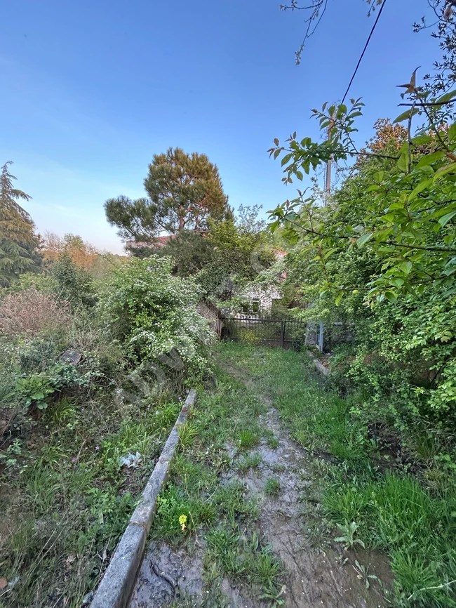 Şile Karakiraz'da satılık tarla, 270m2, uygun fiyat.