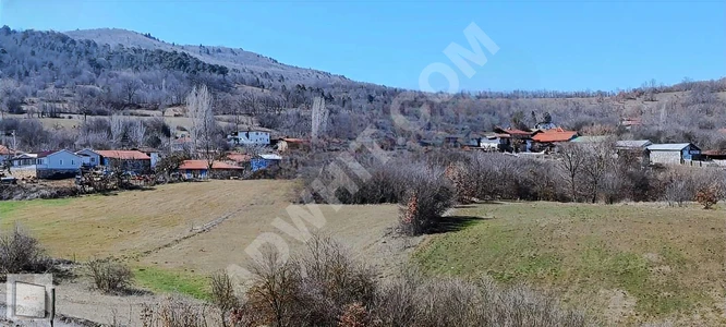 BİLECİK PAZARYERİ BULDUK KÖYÜNDE YATIRIMLIK 7.741 M² TARLA