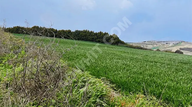 ARNAVUTKÖY BOYALIK' DA Z+4 KAT TİCARİ İMAR PLANINDA FIRSAT ARSA