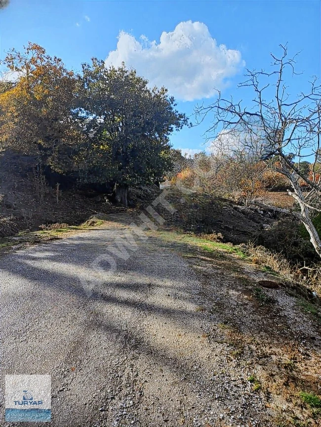 BAĞEVİ YAPIMINA UYGUN KÖY MERKEZİNE YAKIN( AÇIKLAMAYI OKUYUN)
