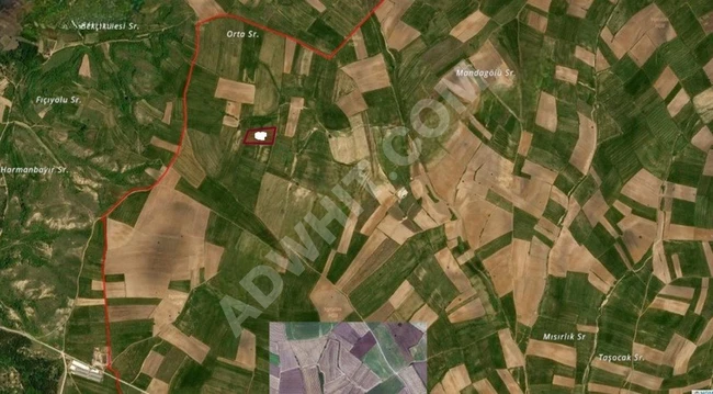 EDİRNE-HAVZA-AZATLI KÖYÜ-ŞAH EMLAK
