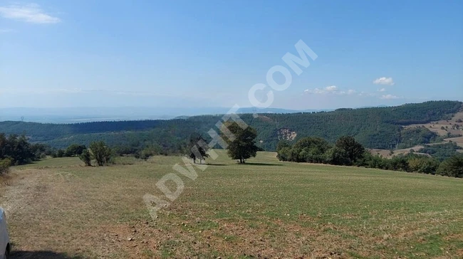 قطعة أرض مساحتها 27,500 متر مربع في قرية BURSA ,YENİŞEHİR ALAYLI