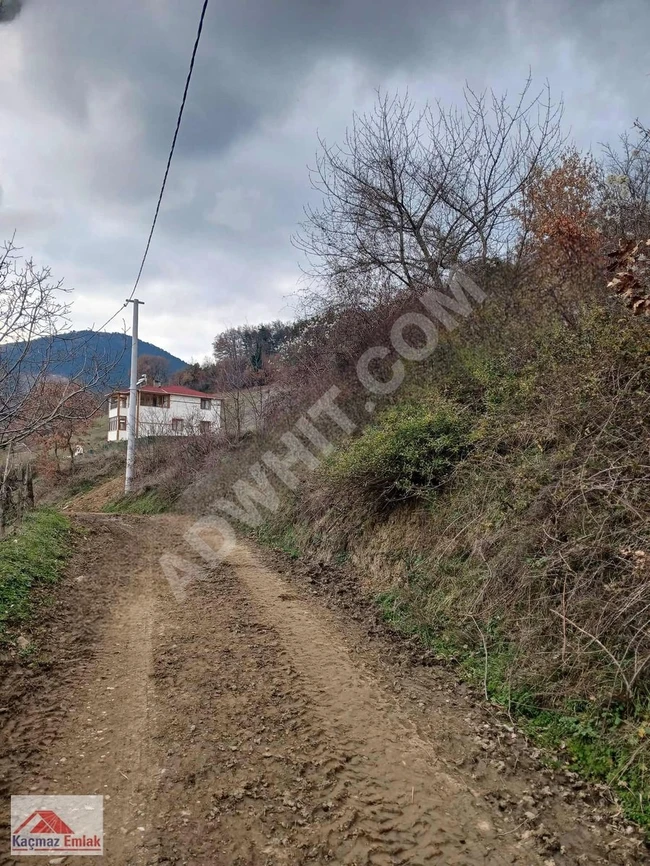 أرض بسعر مغري في  Sakarya / Geyve