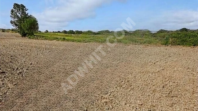 KAÇMAZ 'DAN BALCIDA KARADENİZ SAHİL OTOYOLUNA YAKIN 3.808 M2 TAR