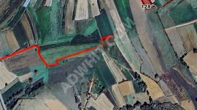 KAÇMAZ 'DAN BALCIDA KARADENİZ SAHİL OTOYOLUNA YAKIN 3.808 M2 TAR