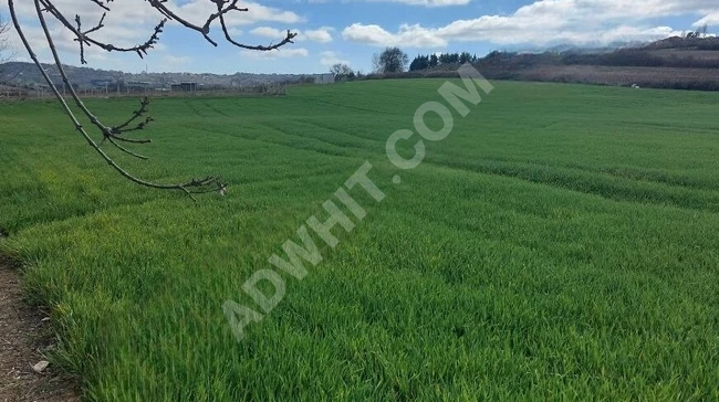 Agricultural land with a known location for sale in ARNAVUTKÖY TAYAKADIN with an area of 2000 square meters.