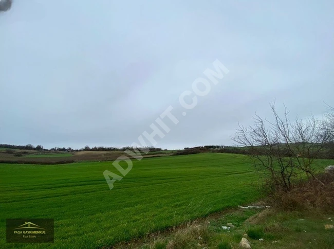 Agricultural land with a known location for sale in ARNAVUTKÖY TAYAKADIN with an area of 2000 square meters.