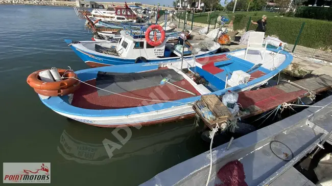 Zehirlisi yeni/çürüksüz ve çok dengeli