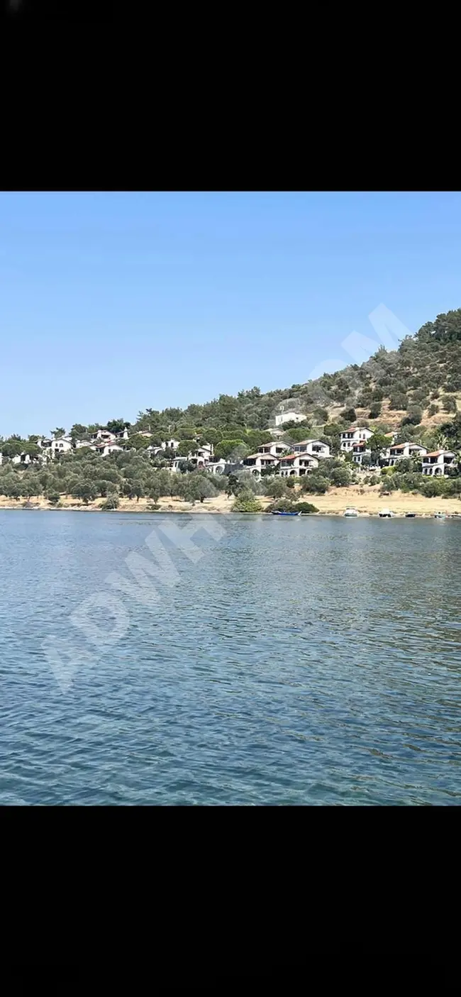 أرض زيتون على شارع رئيسي بمنطقة قيمة في CUNDA، بجوار مجمع فاخر