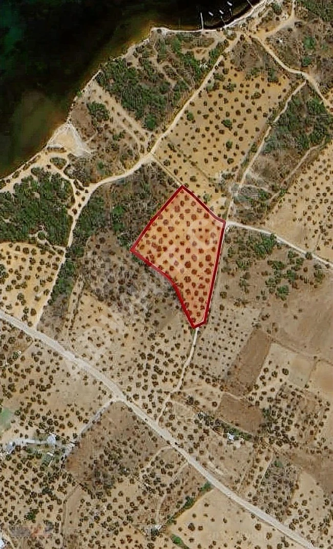 ارض على واجهة الطريق، قريبة من البحر، بمساحة 9452 متر مربع في AYVALIK CUNDA, ÇATALTEPE