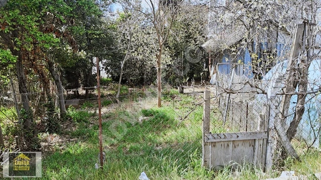 أرض بمساحة 3,000 متر مربع حصة 300 متر مربع داخل في tekirdağ m.ereğlisi sultan köy