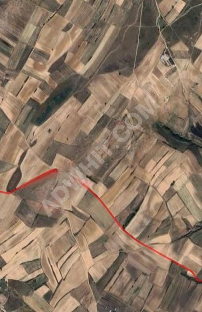 ELİF'DEN TEKİRDAĞ SARAY ÇUKURYURT YOL KENARINDA SATILIK TARLA