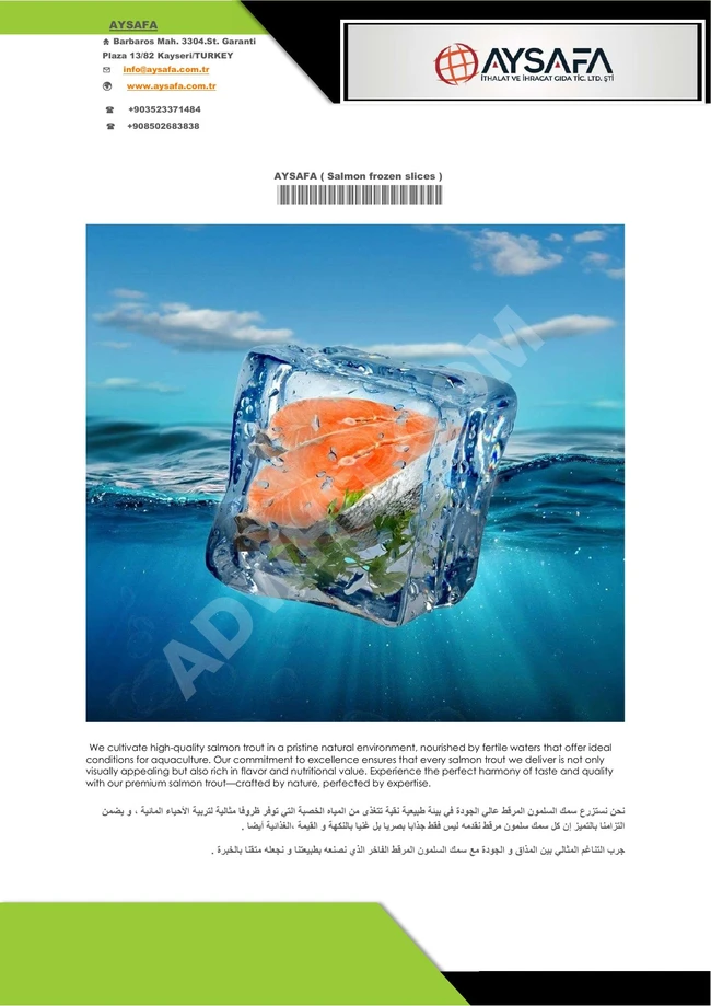 شرائح سمك السلمون المجمد Salmon frozen slices