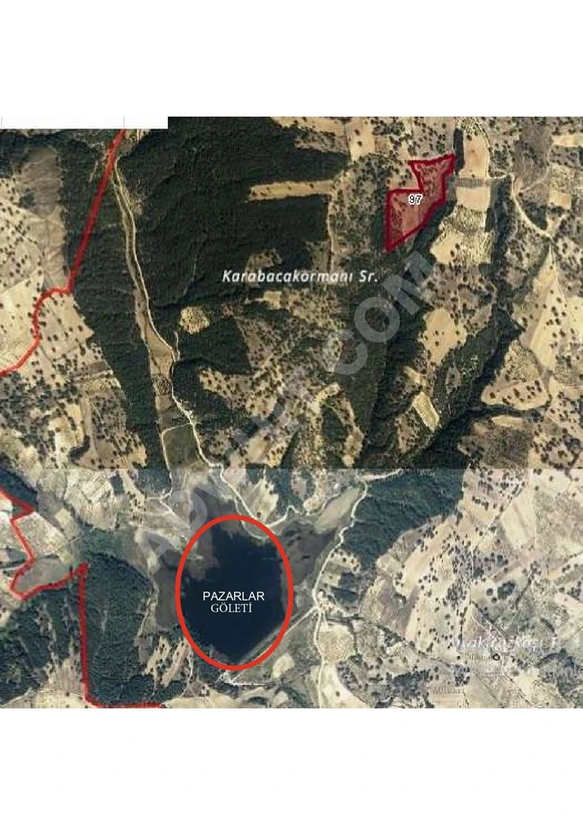 Agricultural land for sale in ÜTAHYA PAZARLAR