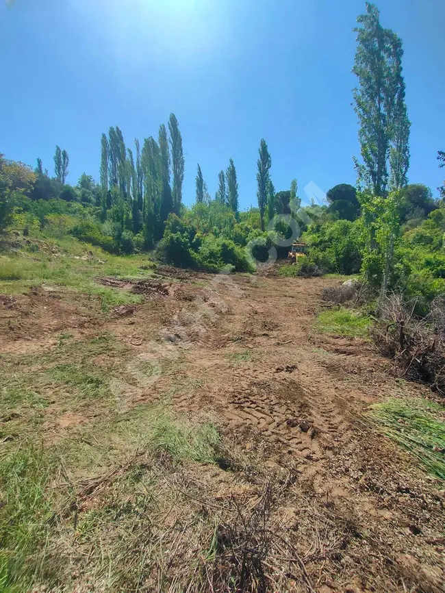 ارض زيتون مناسب في منطقة İZMİR BERGAMA، مع منزل صغير (Tiny House) من المزاد.