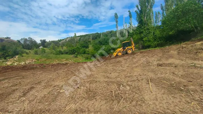 ارض زيتون مناسب في منطقة İZMİR BERGAMA، مع منزل صغير (Tiny House) من المزاد.