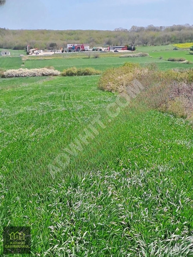 Land of 4,200 square meters with independent title deed in TEKİDAĞ SARAY KAVACIK