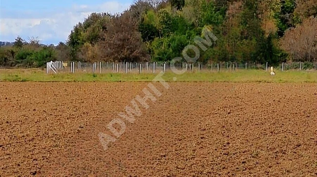 A plot of land with an area of 2040 square meters with a single title deed in TEKİRDAĞ SARAY KURTDERE.