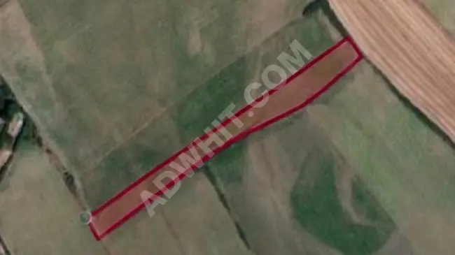 Land of 4,200 square meters with independent title deed in TEKİDAĞ SARAY KAVACIK