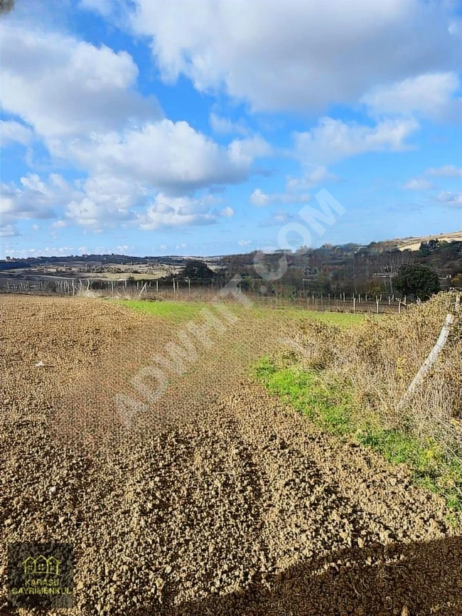 A plot of land with an area of 2040 square meters with a single title deed in TEKİRDAĞ SARAY KURTDERE.