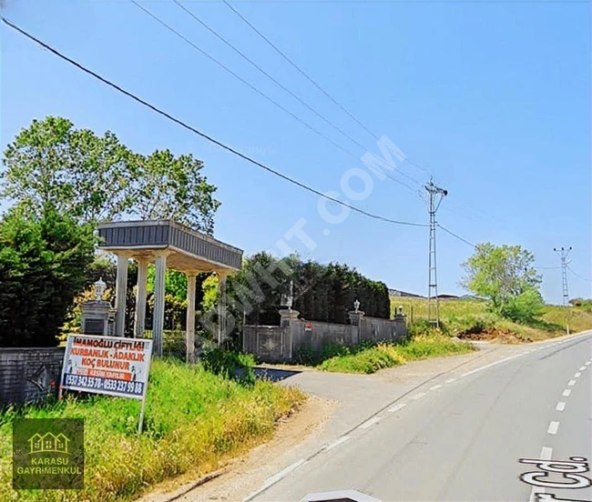 A plot of land in ÇATALCA İNCEĞİZ on the asphalt frontage with an area of 919 square meters.
