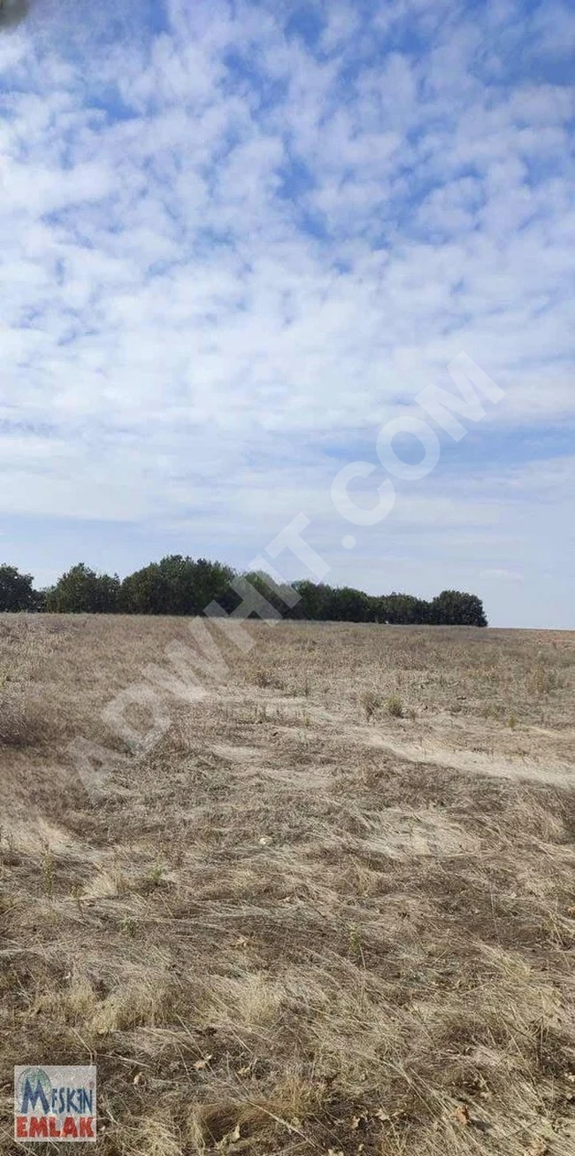 Agricultural land for sale with a single title deed, with an area of 21,400 m² in UZUN KÖPRÜ.