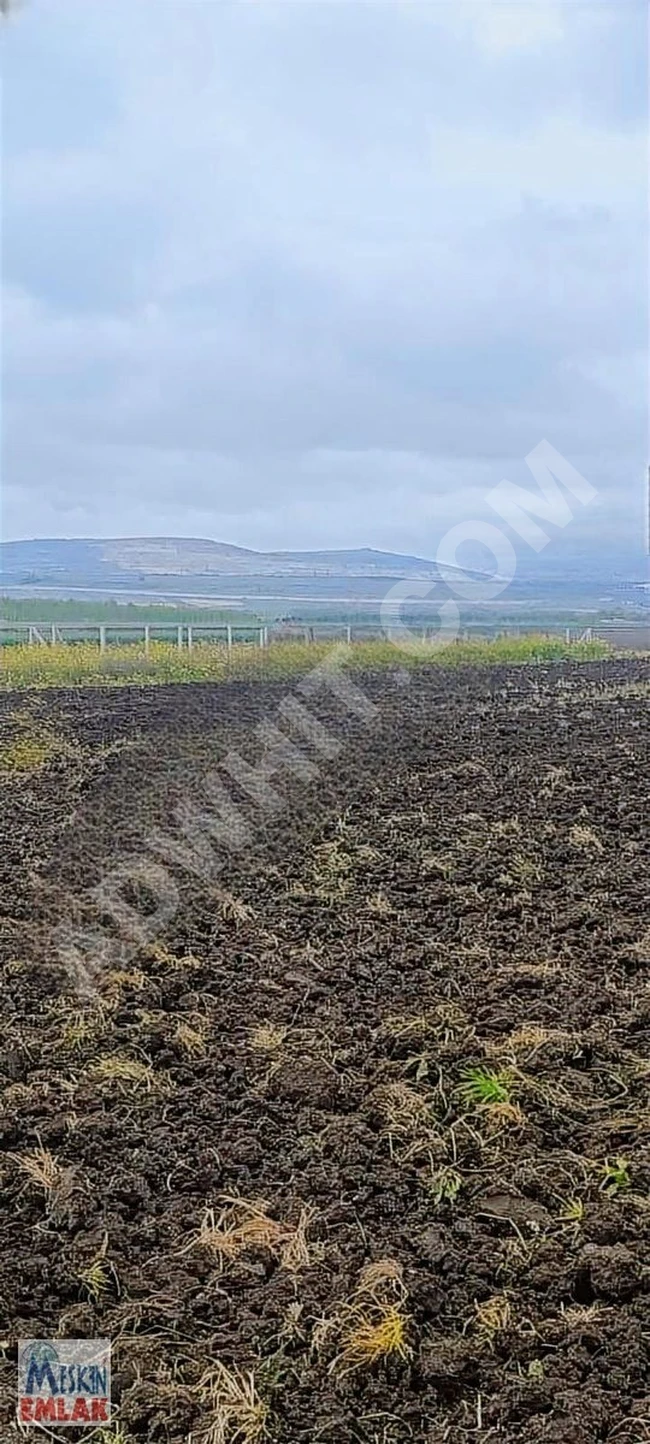 An agricultural land plot for sale with an area of 349 square meters in ÇATALCA FERHATPAŞA.