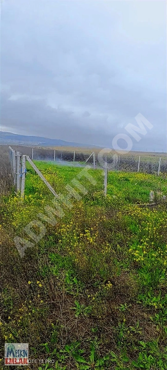 An agricultural land plot for sale with an area of 349 square meters in ÇATALCA FERHATPAŞA.