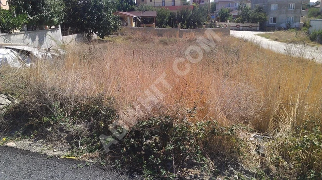 *meral Emlak A11 Celaliye Kamiloba Mh 318m2 İmarlı Köşebaşı Arsa