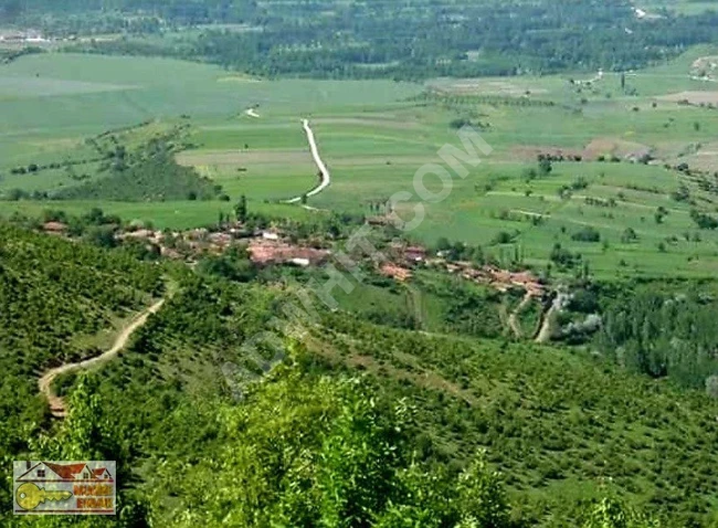 TURHAL ÇAYIRALTI 908 M2 FIRSAT ARAZİ