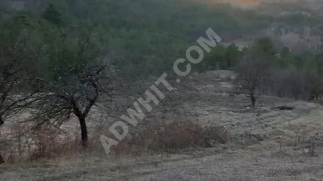 A unique agricultural plot for sale with an area of 3,629 square meters in the village of Bilecik Pazaryeri Dülgeroğlu.