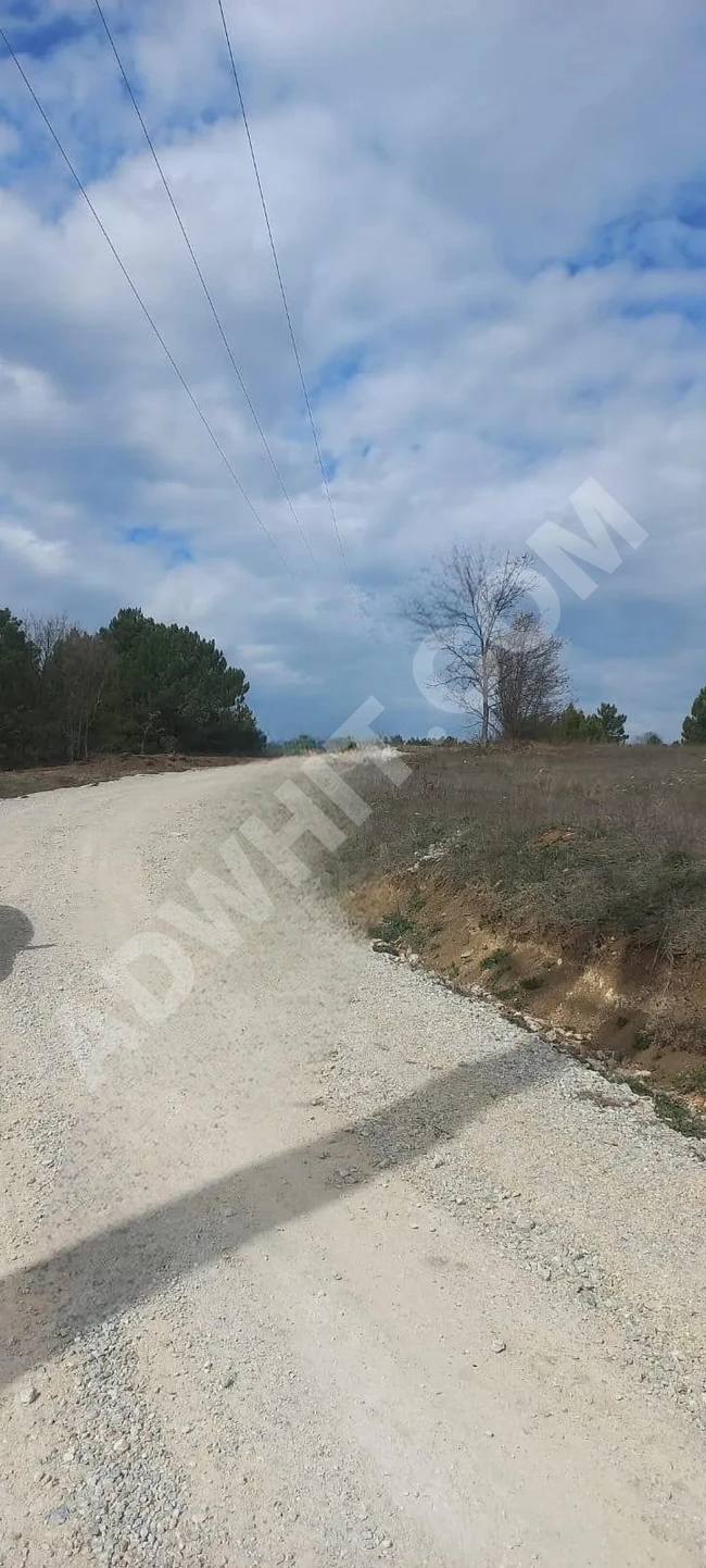 Unique agricultural land for sale with an area of 937 square meters in Bilecik Pazaryeri Dülgeroğlu