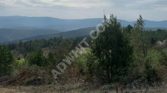 Unique agricultural land for sale with an area of 937 square meters in Bilecik Pazaryeri Dülgeroğlu