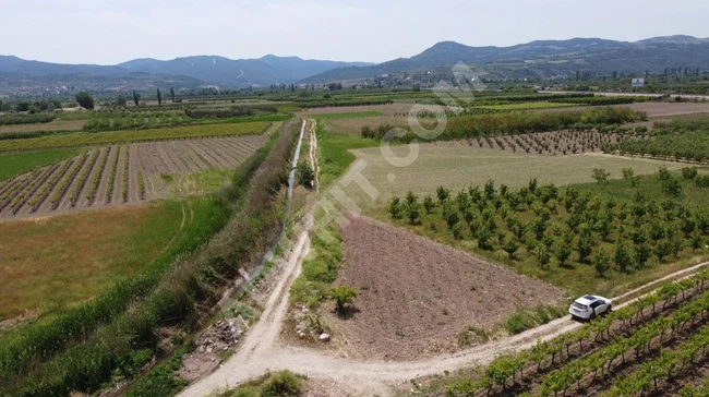 Sakarya Pamukova Satılık Emsalsiz Resmi Yolu Var Su Kanalı Var Köşe Parsel Köye Çok Yakın