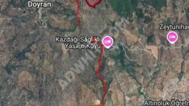 Balıkesir Edremit Altınoluk "da Satılık Deniz Manzaralı 178.008m2 Harika Zeytinlik