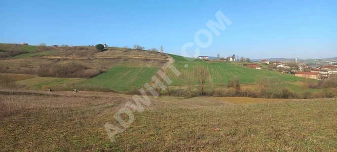 Kocaeli Körfez Himmetlide Satılık 1.677m2 Köy Karşısı %5 İmarlı Tarla