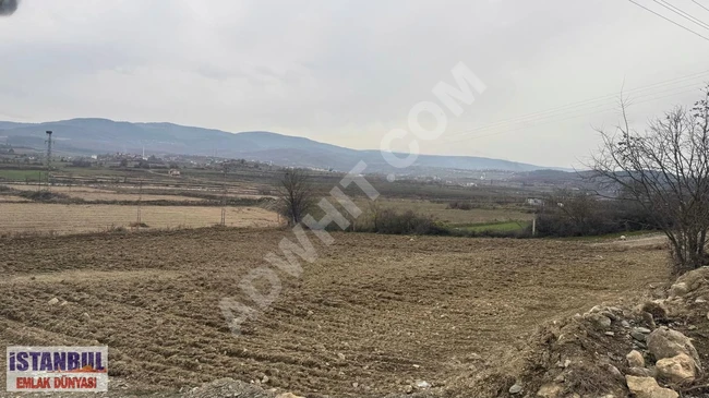 حقل بمساحة 1,322 متر مربع في SİNOP Saraydüzün، يطل على الطريق من 3 جهات.