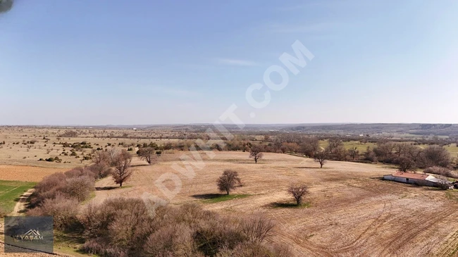 Investment opportunity near the asphalt road in the organized industrial zone