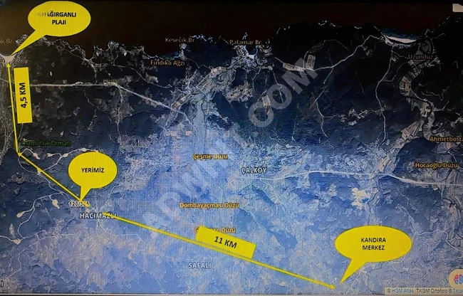 HACIMAZLI KÖYÜNDE 1387 m2 2B TAPULU YETİŞKİN FINDIK BAHÇESİ