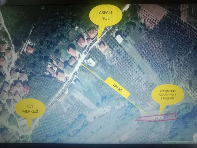 KANDIRA HACIMAZLI' DA 626 m2 YATIRIMLIK TARLA