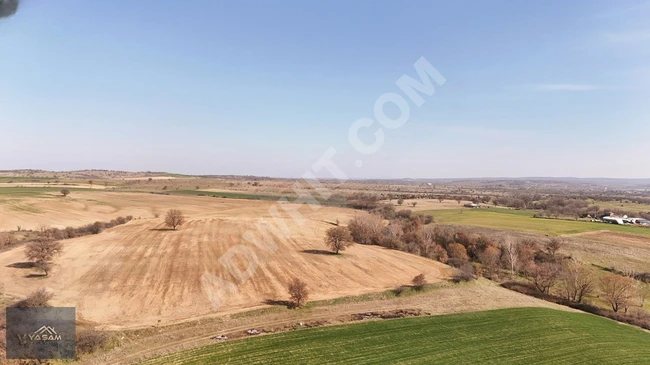 A land with an area of 11,878 square meters available for investment in an organized area near the asphalt road.