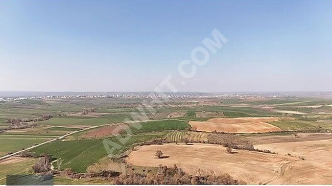 A land with an area of 11,878 square meters available for investment in an organized area near the asphalt road.