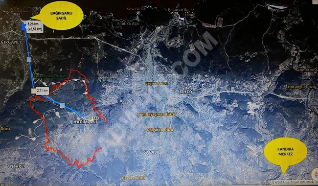Kandıra Hacımazlı'da 493 M2 2B yeni yetişen fındık bahcesi