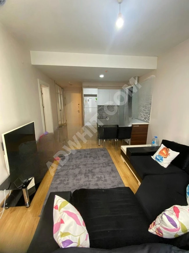 Bring your bag and come! 1+1 apartment for rent, fully equipped with everything!