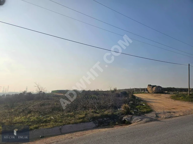 SELÇUK EMLAKTAN TUZLA TEPEÖRENDE SATILIK TARLA