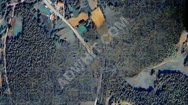 GEBZE MUDARLIDA ASFALT YOL ÜZERİNDE HAZIR KURULU DÜZEN
