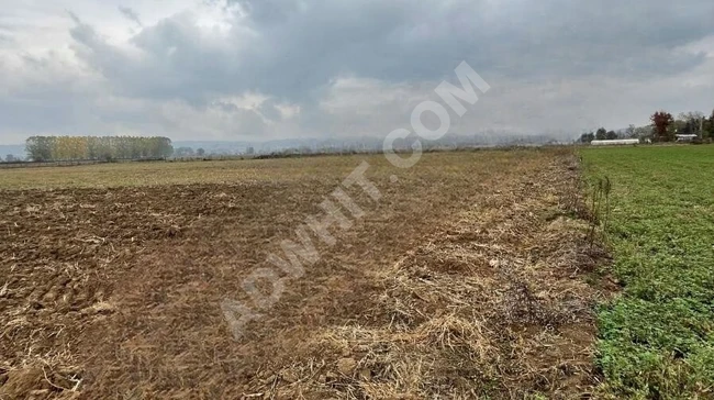 SANAYİ VE KONUT İMAR ARASINDA KALAN KUPON ARAZİ.