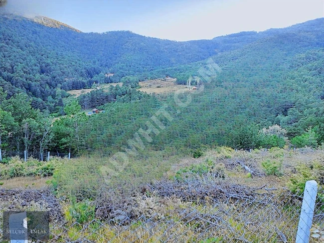 SELÇUK EMLAKTAN 2309 M2 KAÇIRILMAZ TARLA FIRSATI